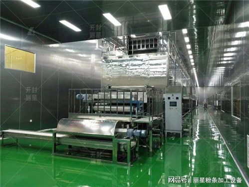 粉条粉丝厂办厂投资指南 流程、预算关键及盈利管控解析
